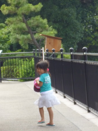 f:id:ohdorii:20140813142619j:image:h300