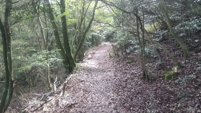 f:id:ohendo3:20211028033106j:image f:id:ohendo3:20211028033106j:image