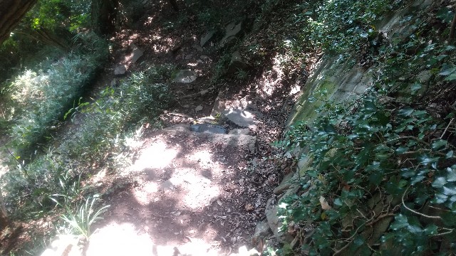 f:id:ohendo3:20211029035251j:image f:id:ohendo3:20211029035251j:image