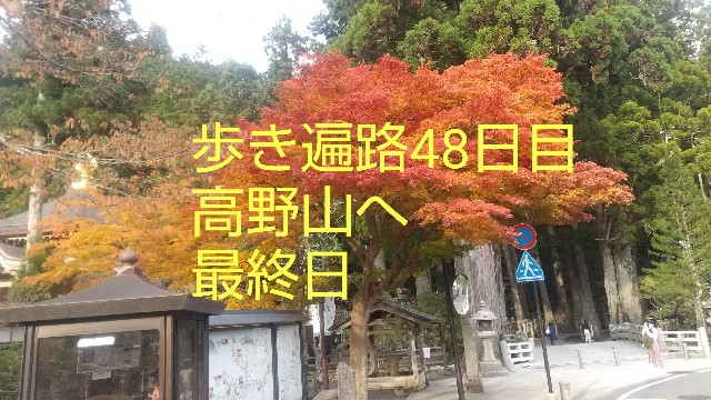 f:id:ohendo3:20211102053903j:image f:id:ohendo3:20211102053903j:image