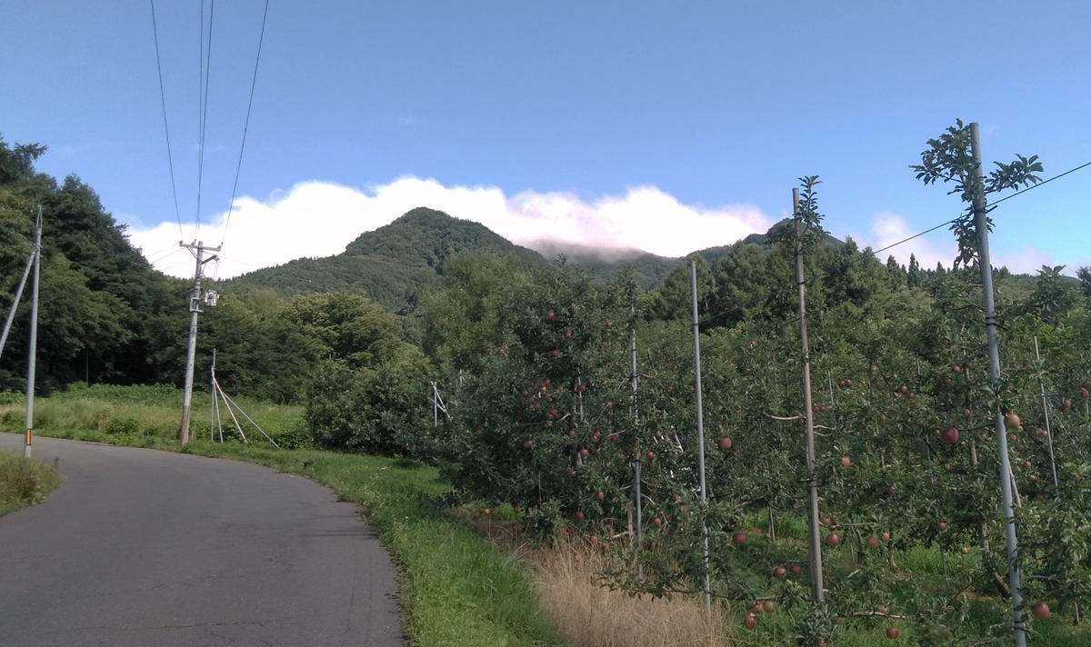 f:id:ohenrotsugaru:20200814104348j:plain