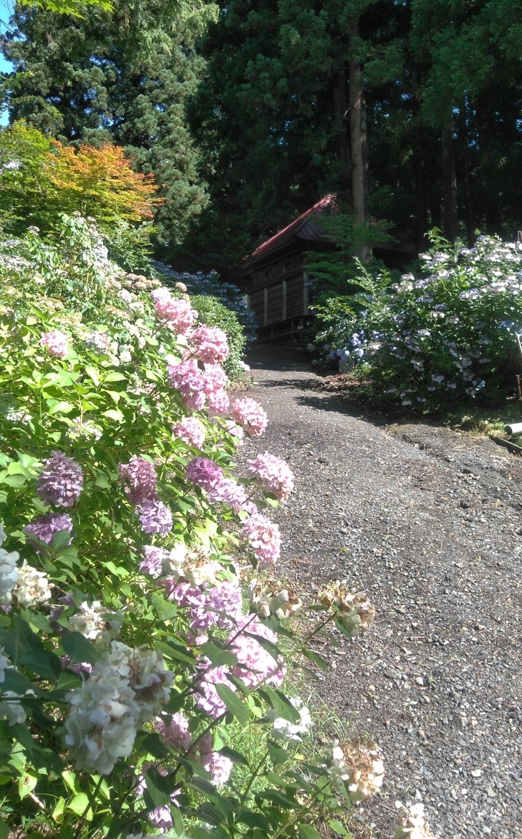 f:id:ohenrotsugaru:20200814104502j:plain