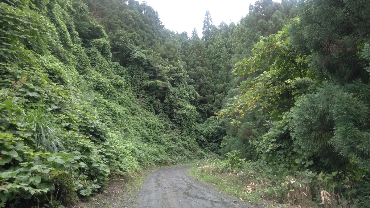 f:id:ohenrotsugaru:20200814105022j:plain