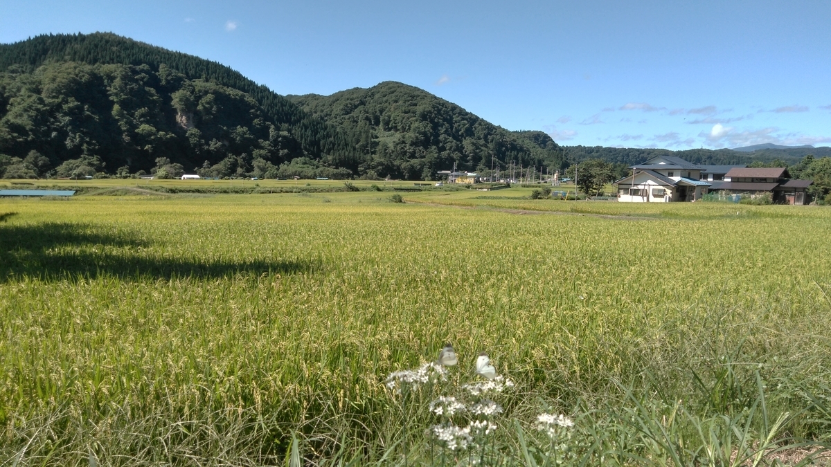 f:id:ohenrotsugaru:20200912132055j:plain f:id:ohenrotsugaru:20200912132055j:plain