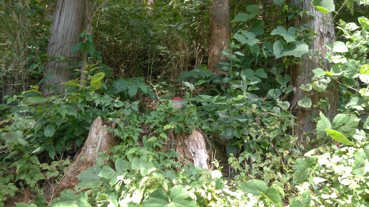 f:id:ohenrotsugaru:20200912133035j:plain f:id:ohenrotsugaru:20200912133035j:plain