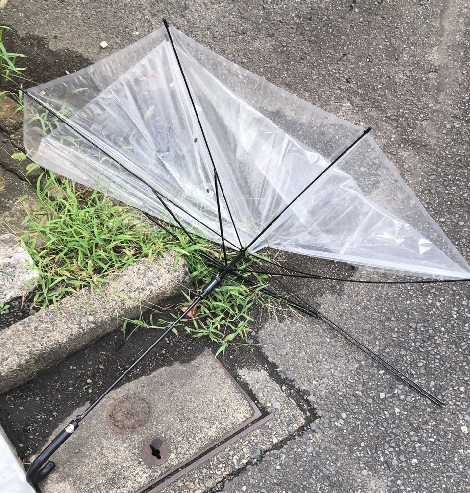 f:id:ohh-chan:20211207092458j:plain
