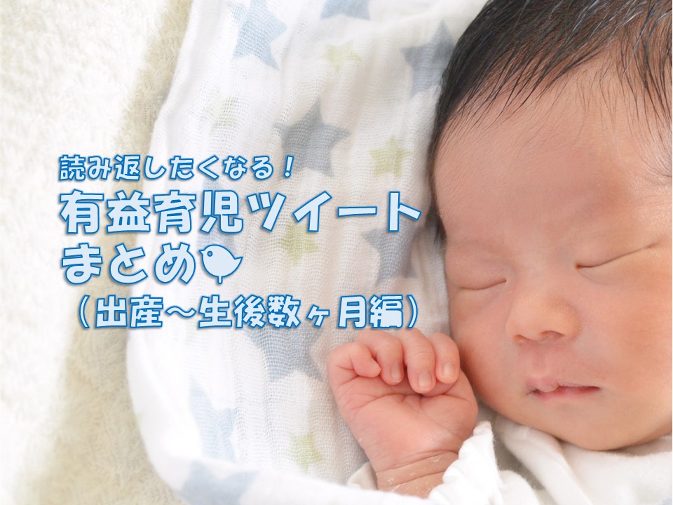 f:id:ohhpasy:20210127115527j:plain