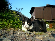 f:id:ohirune-manbou:20060118012451j:image
