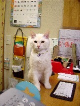 f:id:ohirune-manbou:20060129212418j:image