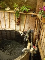 f:id:ohirune-manbou:20060507214028j:image