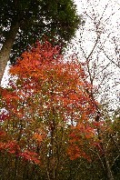 f:id:ohirune-manbou:20061030010452j:image