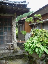 f:id:ohirune-manbou:20070928005134j:image