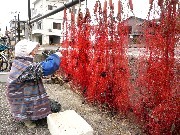 f:id:ohirune-manbou:20080130004344j:image