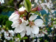 f:id:ohirune-manbou:20080406222829j:image