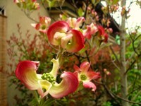f:id:ohirune-manbou:20080414233003j:image f:id:ohirune-manbou:20080414233003j:image