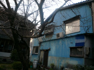 20090111144015