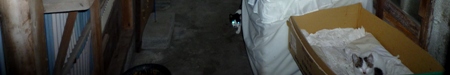 f:id:ohirune-manbou:20091101181125j:image