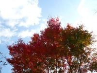 f:id:ohirune-manbou:20120120230711j:image