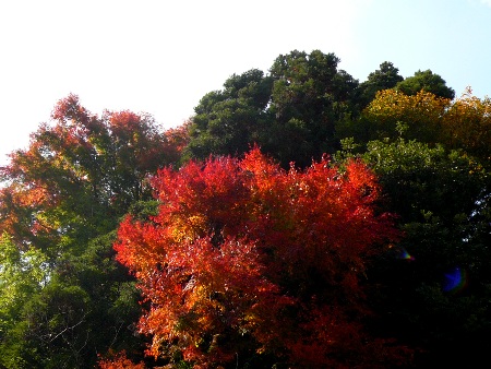 f:id:ohirune-manbou:20120120230941j:image