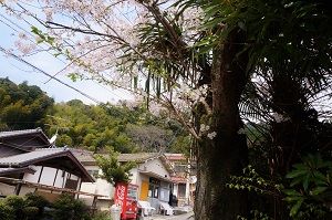 f:id:ohirune-manbou:20160320004853j:image