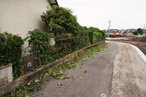 f:id:ohirune-manbou:20160710220924j:image f:id:ohirune-manbou:20160710220924j:image