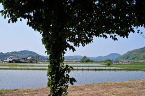 f:id:ohirune-manbou:20170621001839j:image