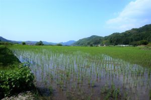 f:id:ohirune-manbou:20170621001840j:image f:id:ohirune-manbou:20170621001840j:image