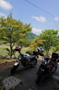 f:id:ohirune-manbou:20170621001841j:image