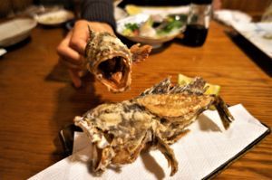 f:id:ohirune-manbou:20180120233142j:image