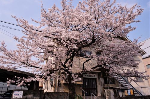 f:id:ohirune-manbou:20180405235209j:image f:id:ohirune-manbou:20180405235209j:image