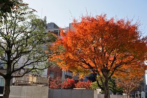 f:id:ohirune-manbou:20181130202641j:image f:id:ohirune-manbou:20181130202641j:image