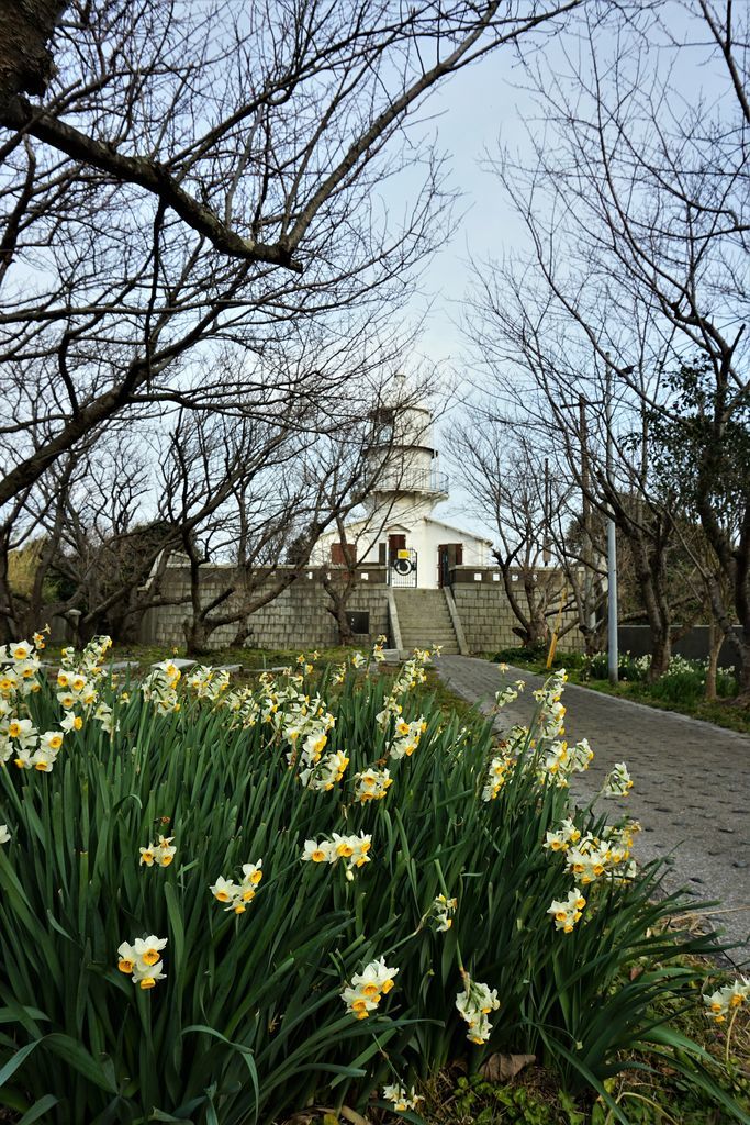 f:id:ohirune-manbou:20190131195245j:plain f:id:ohirune-manbou:20190131195245j:plain