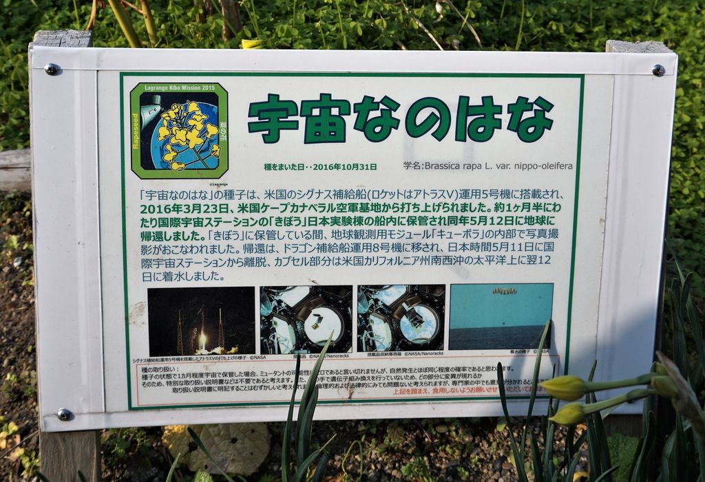 f:id:ohirune-manbou:20190131202104j:plain