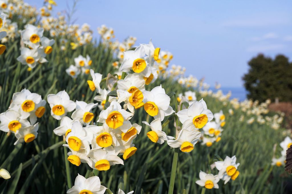 f:id:ohirune-manbou:20190131210844j:plain f:id:ohirune-manbou:20190131210844j:plain