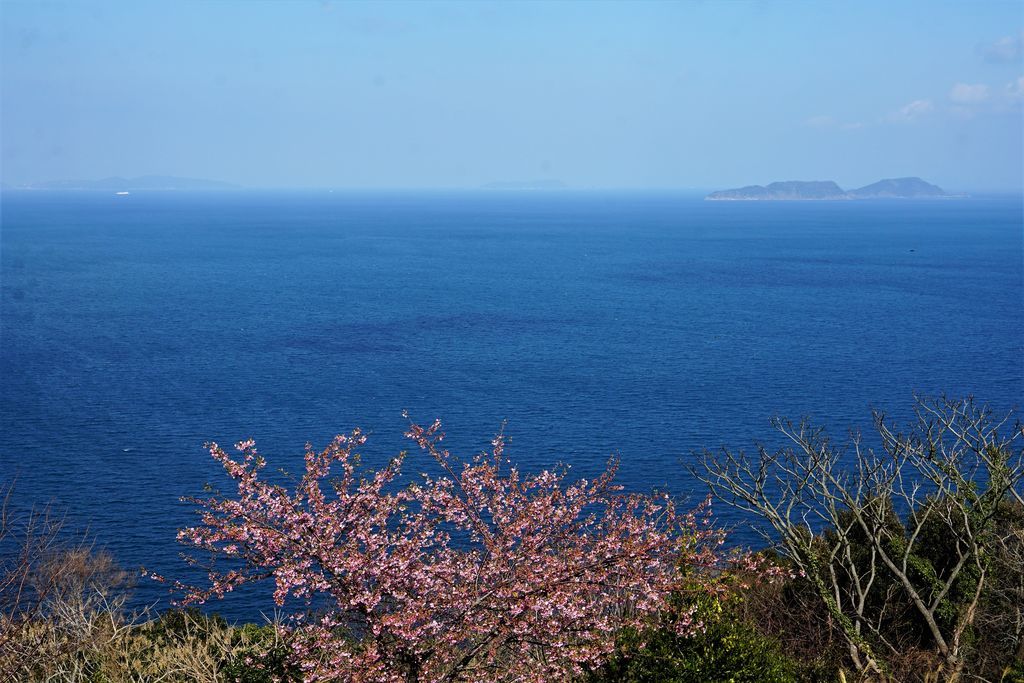 f:id:ohirune-manbou:20190213201317j:plain f:id:ohirune-manbou:20190213201317j:plain