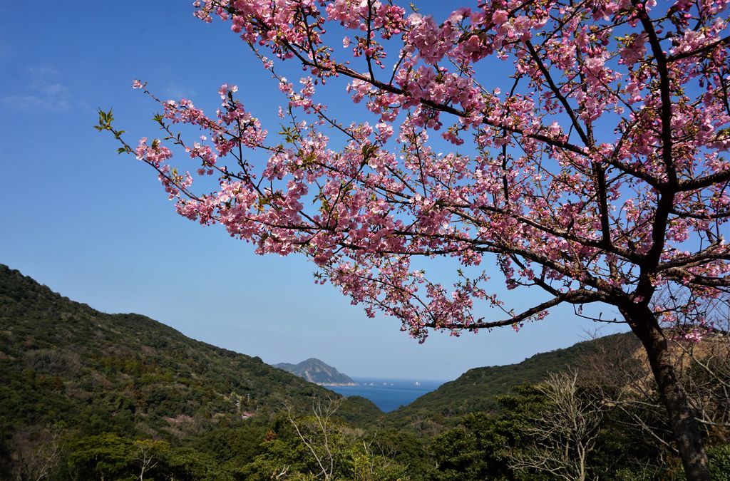 f:id:ohirune-manbou:20190214111343j:plain