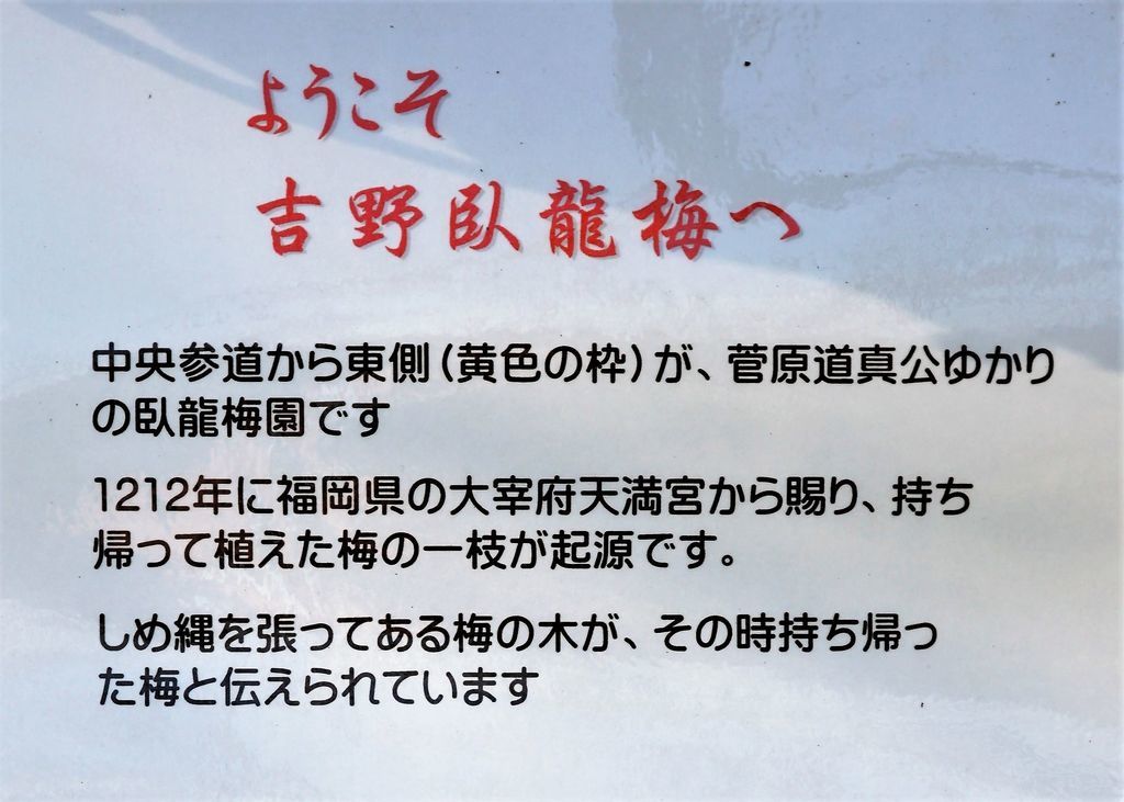 f:id:ohirune-manbou:20190220225254j:plain