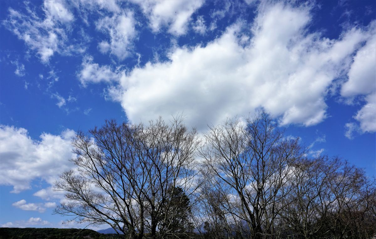 f:id:ohirune-manbou:20190313234750j:plain f:id:ohirune-manbou:20190313234750j:plain