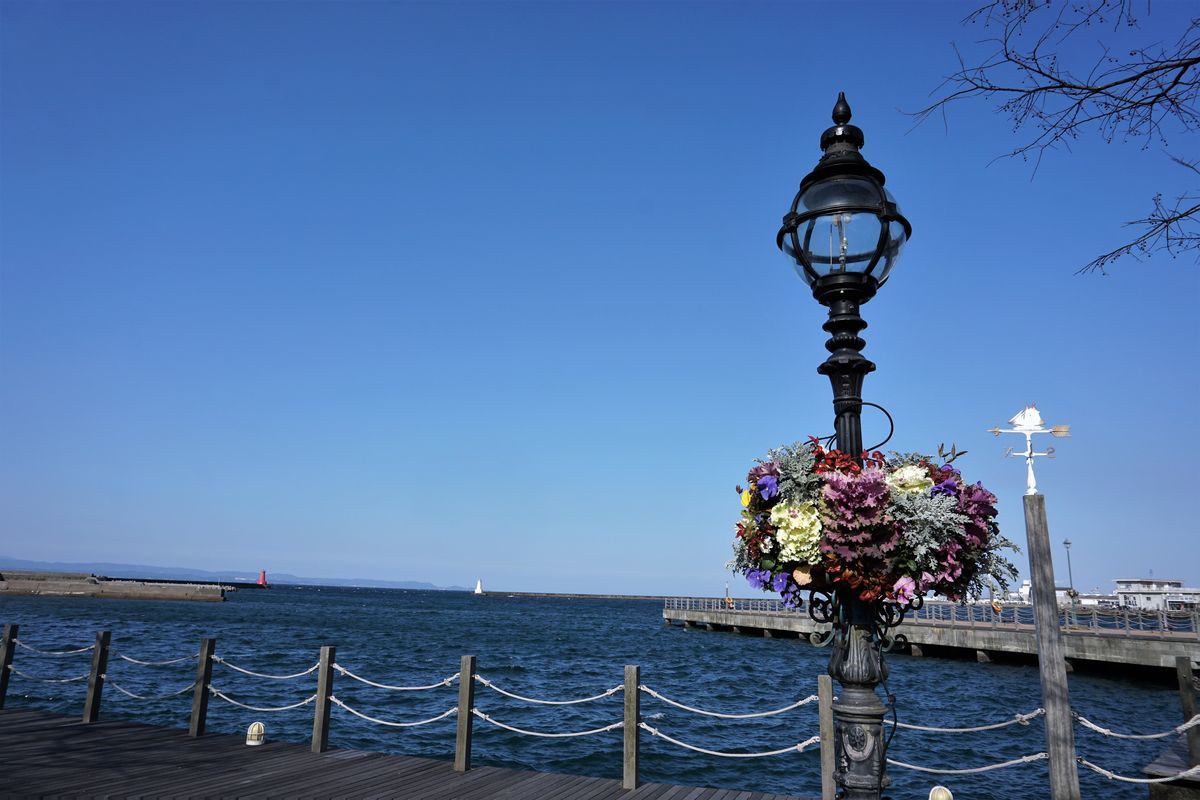 f:id:ohirune-manbou:20190318231514j:plain f:id:ohirune-manbou:20190318231514j:plain