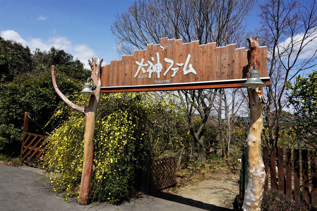 f:id:ohirune-manbou:20190320223923j:plain f:id:ohirune-manbou:20190320223923j:plain
