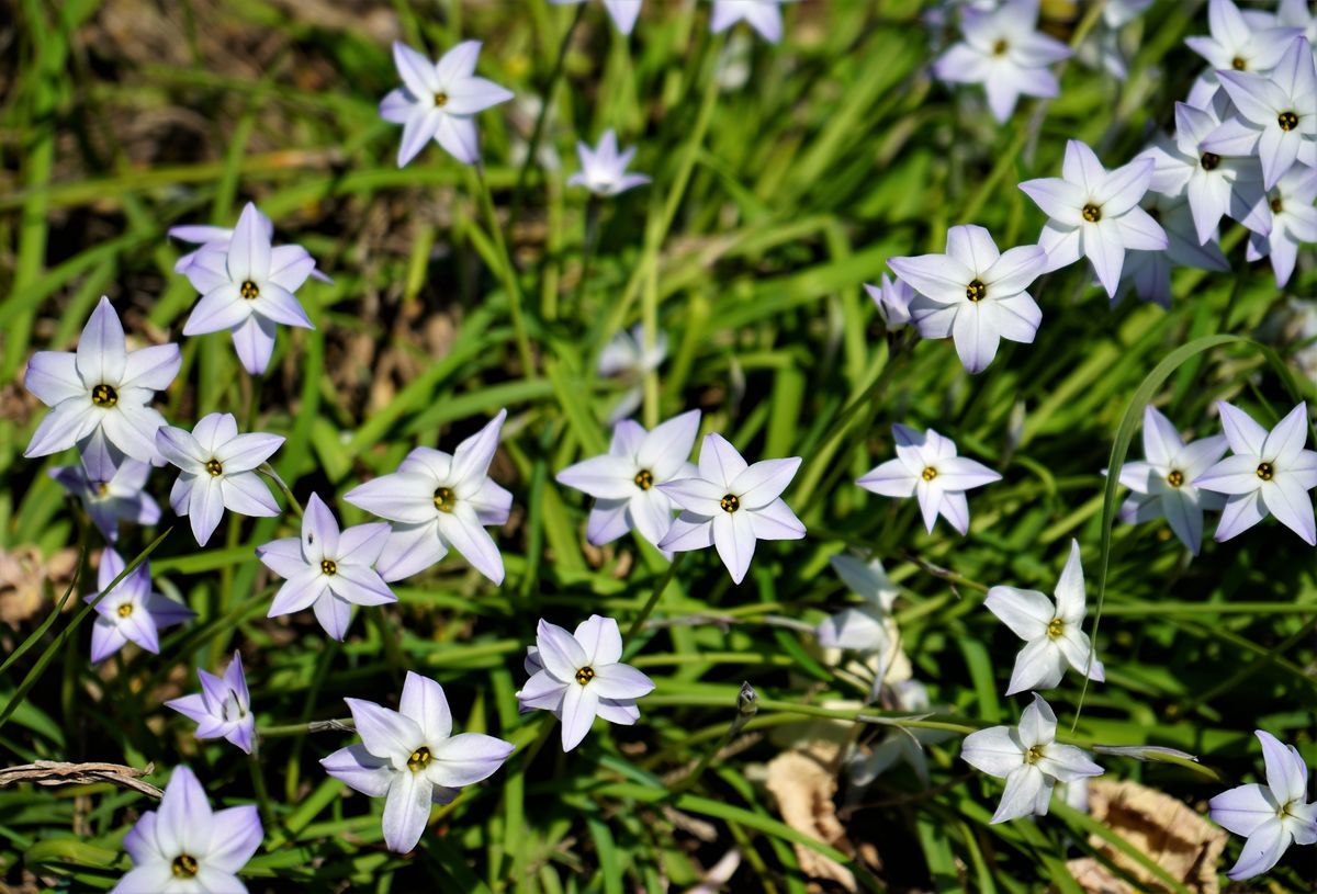 f:id:ohirune-manbou:20190324215402j:plain