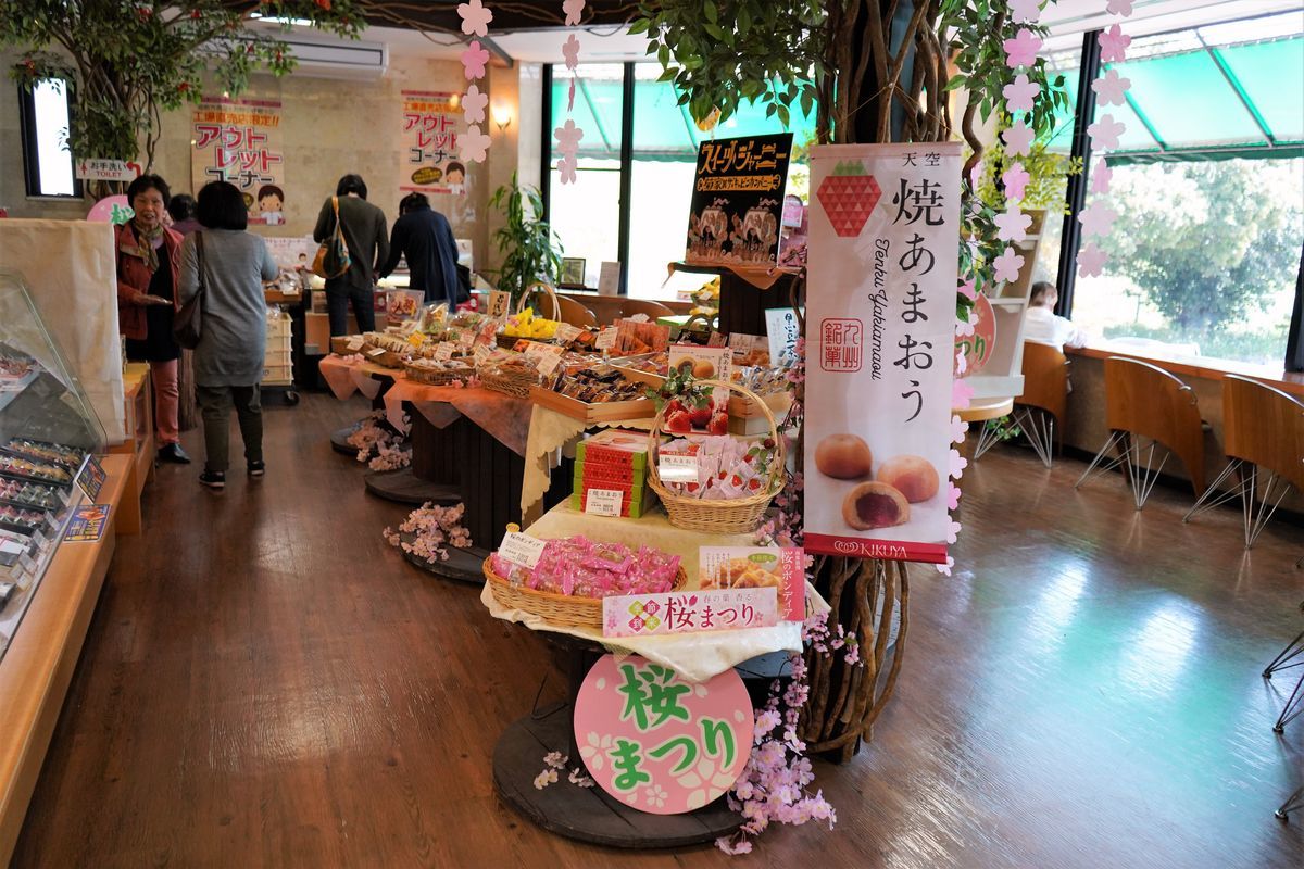 f:id:ohirune-manbou:20190406214932j:plain