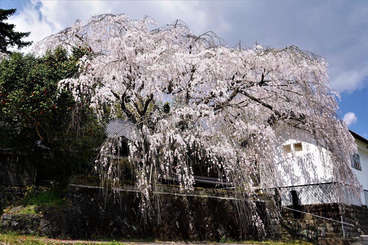 f:id:ohirune-manbou:20190411193928j:plain