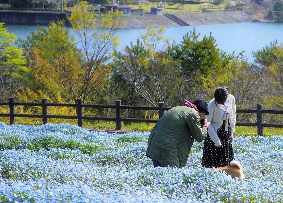 f:id:ohirune-manbou:20190412213533j:plain f:id:ohirune-manbou:20190412213533j:plain