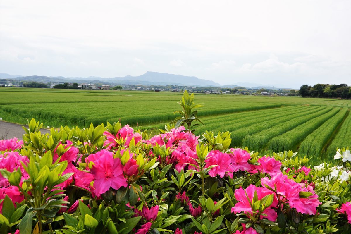 f:id:ohirune-manbou:20190418221420j:plain f:id:ohirune-manbou:20190418221420j:plain