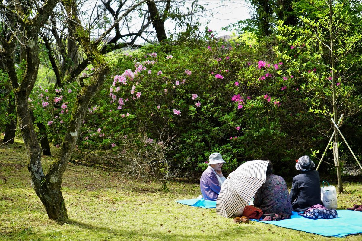 f:id:ohirune-manbou:20190427225310j:plain