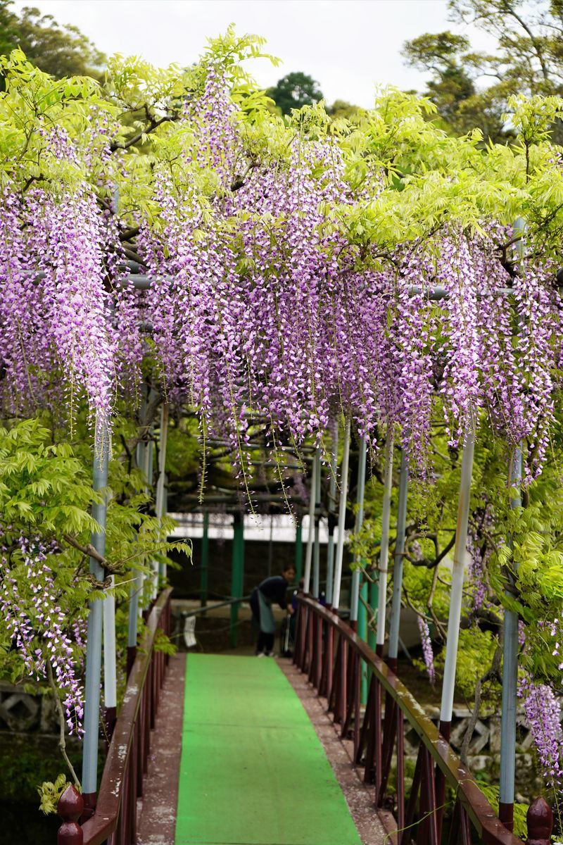 f:id:ohirune-manbou:20190427230015j:plain