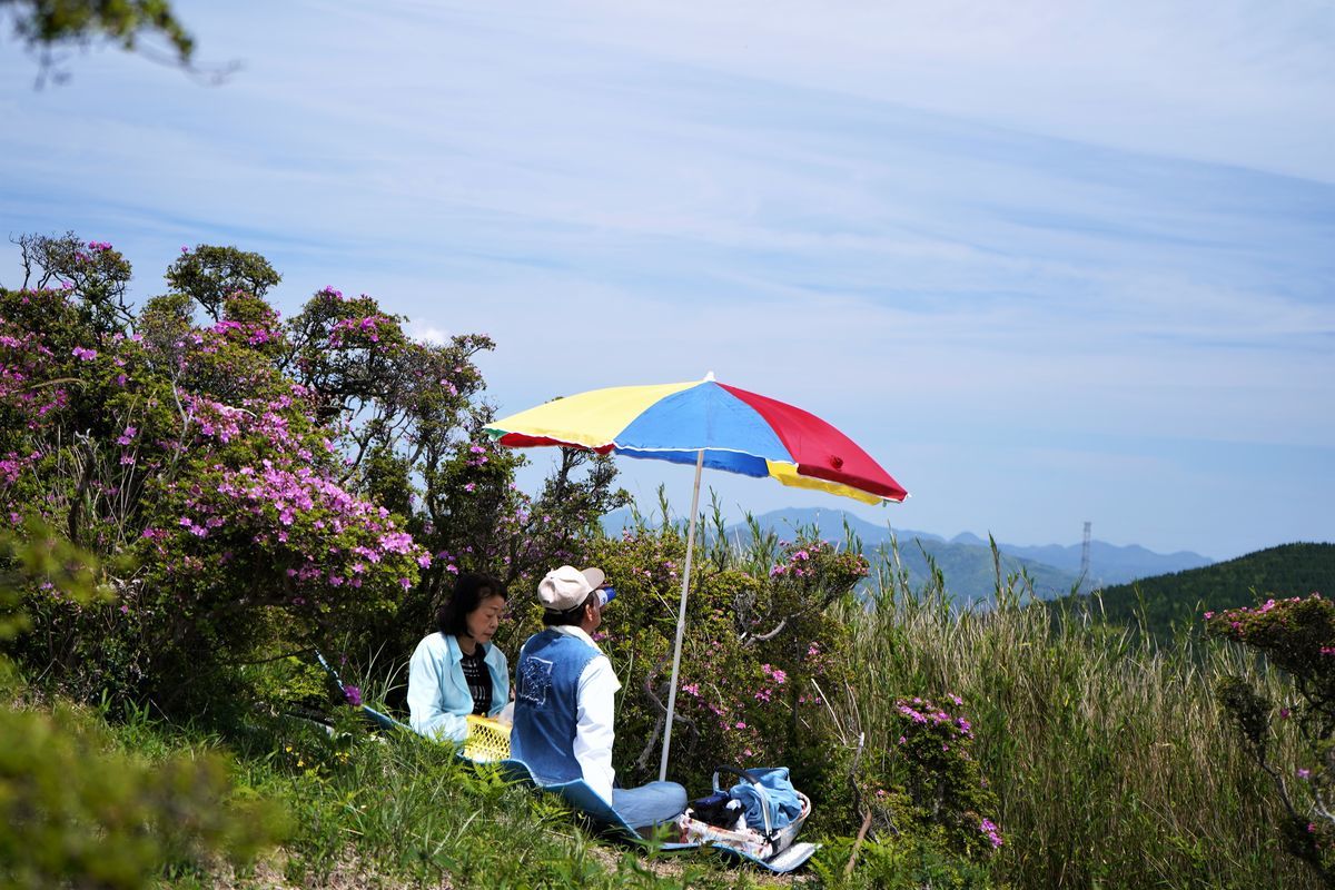 f:id:ohirune-manbou:20190509181756j:plain
