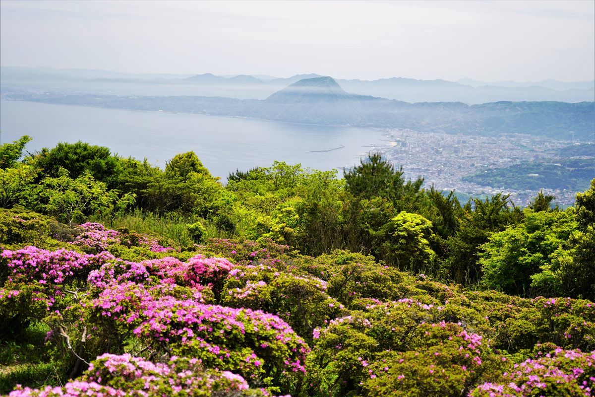 f:id:ohirune-manbou:20190510000346j:plain