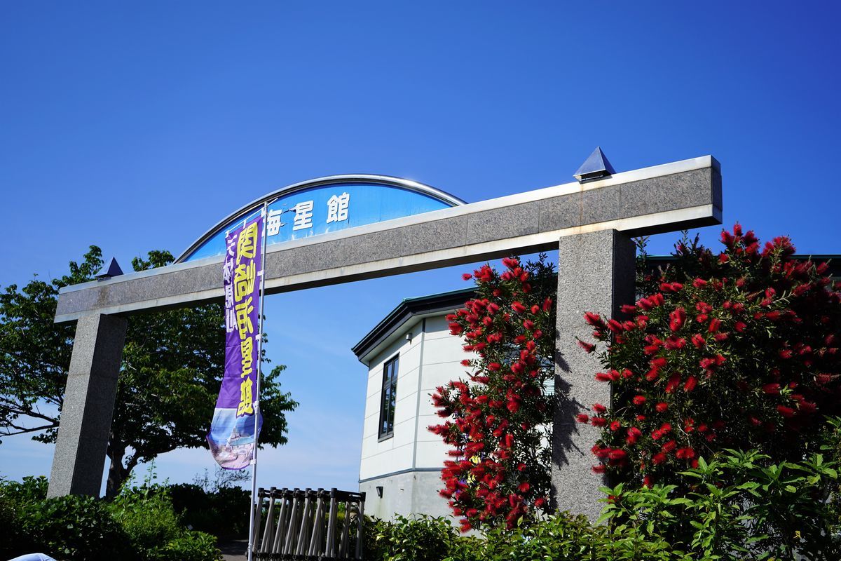 f:id:ohirune-manbou:20190516230612j:plain